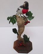 Rose Breaseted Grosbeak